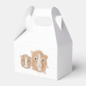 Cavia cadeau doos bedankdoosjes (Achterkant)