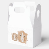 Cavia cadeau doos bedankdoosjes (Geopend)