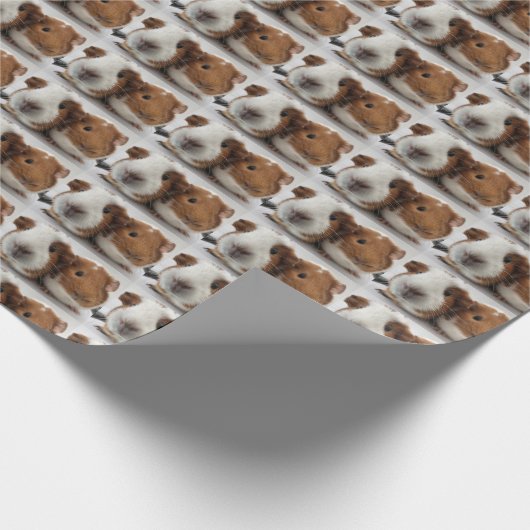 cavia cadeaupapier (Hoek)