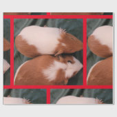 cavia cadeaupapier (Vlak)