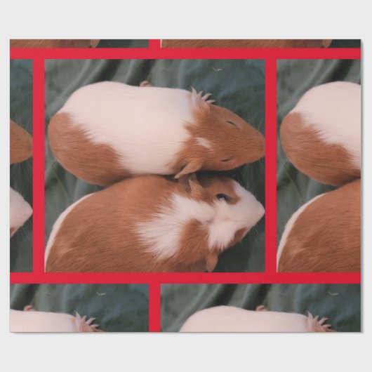 cavia cadeaupapier (Vlak)