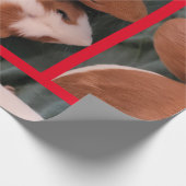 cavia cadeaupapier (Hoek)