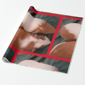 cavia cadeaupapier (Uitgerold)