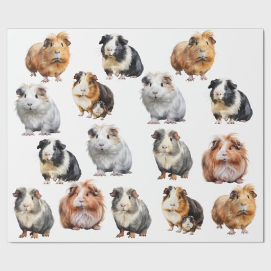 Cavia Cadeaupapier (Vlak)