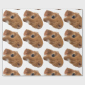 cavia cadeaupapier (Vlak)