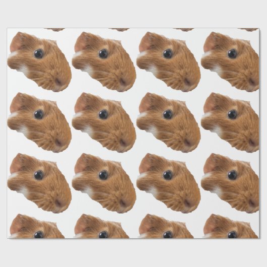 cavia cadeaupapier (Vlak)