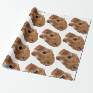 cavia cadeaupapier