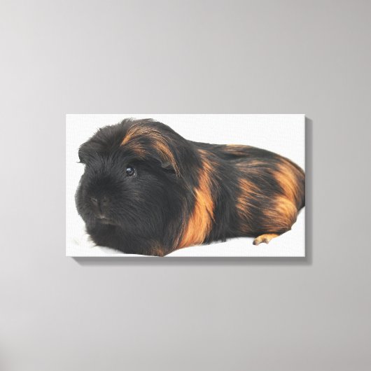 Cavia Canvas Afdruk (Voorkant)