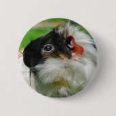 Cavia Chewie Ronde Button 5,7 Cm (Voorkant)