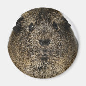 Cavia Close Up Magneet (Voorkant)