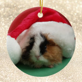 Cavia Dier Kerstversiering Keramisch Ornament