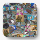 Cavia Foto Collage,  Papieren Bordje (Voorkant)