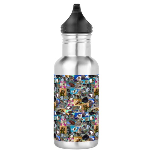 Cavia-foto-collage, waterfles waterfles  (Rechts)