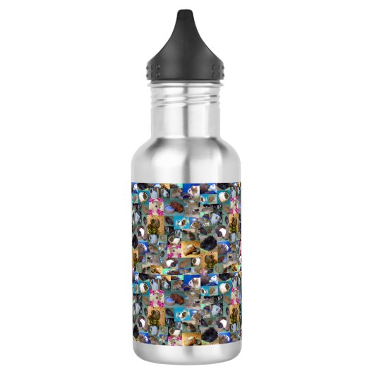 Cavia-foto-collage, waterfles waterfles  (Links)