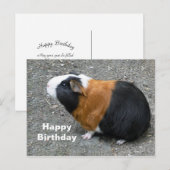 Cavia Foto Verjaardag Briefkaart (Voorkant / Achterkant)