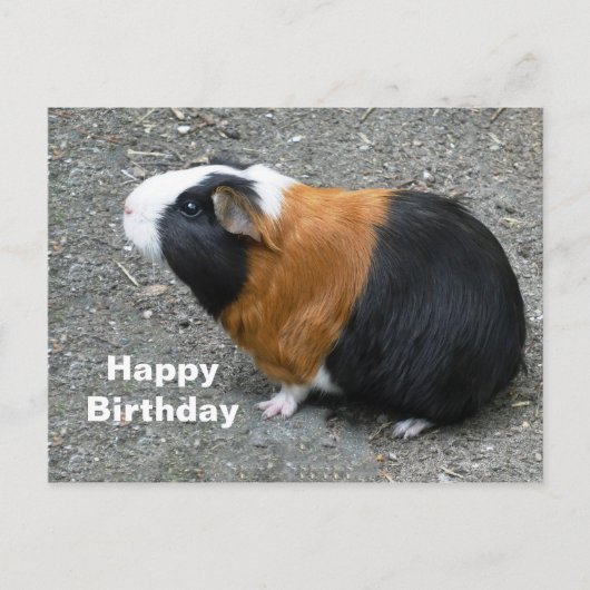 Cavia Foto Verjaardag Briefkaart (Voorkant)