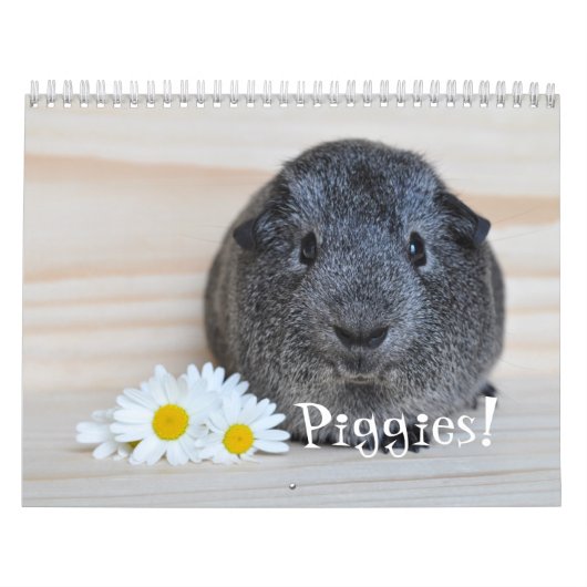 Cavia Foto's Kalender (Hoes)