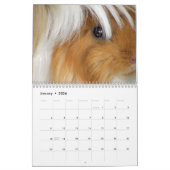 Cavia Foto's Kalender (Jan 2026)