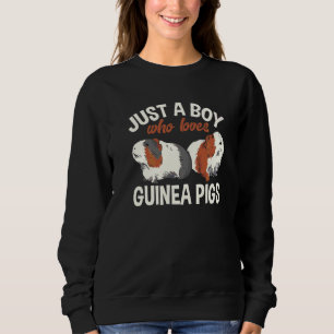 Cavia Harige Aardappel Gewoon Een Jongen Die Van C Trui