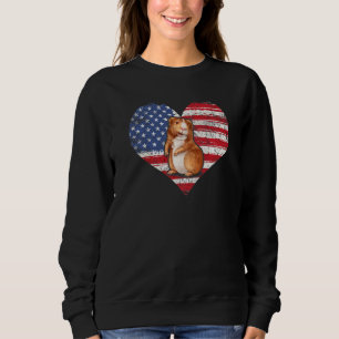 Cavia Hart Amerikaanse Vlag 4 Juli Vs Vlag Trui