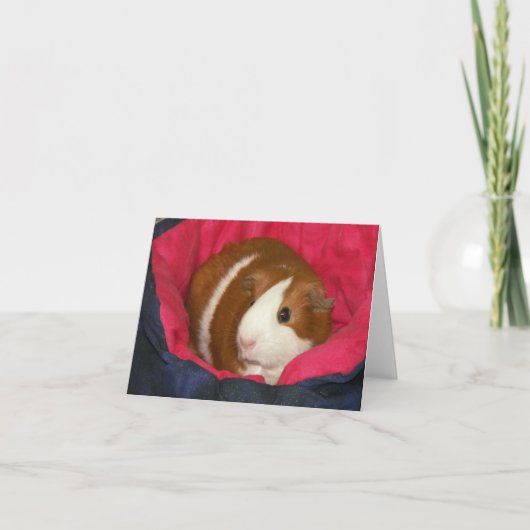 Cavia in een Cozie Notecard Kaart (Voorkant)