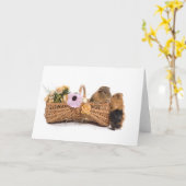 cavia in een mand kaart (Gele Bloem)