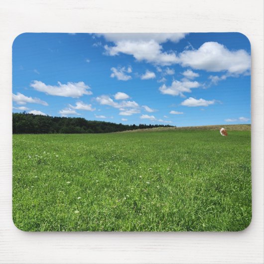 Cavia in een veld Mousepad Muismat (Voorkant)
