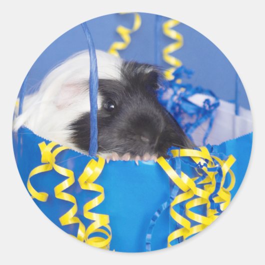 Cavia in partytas Stickers (Voorkant)