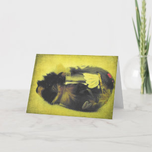 Cavia in wijnglas kaart