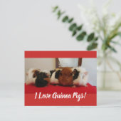 cavia-kaart uitnodiging briefkaart (Staand voorkant)