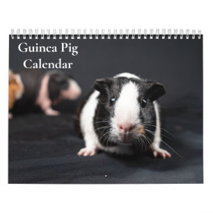 Cavia kalender 2027
