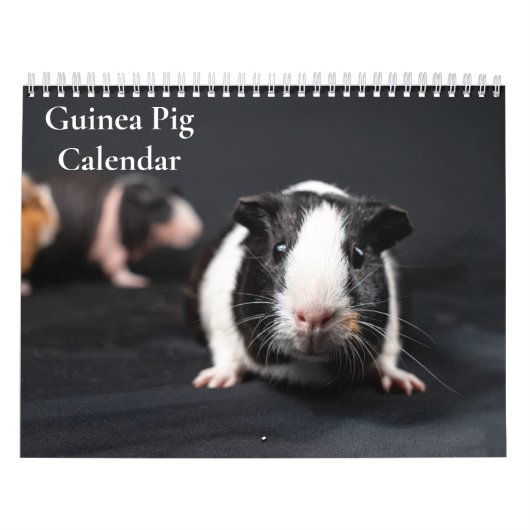 Cavia kalender 2027 (Hoes)