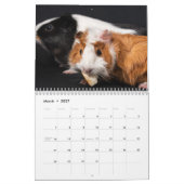 Cavia kalender 2027 (Mar 2027)