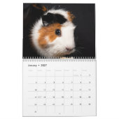 Cavia kalender 2027 (Jan 2027)