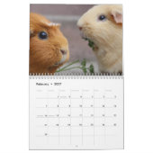 Cavia kalender 2027 (Feb 2027)