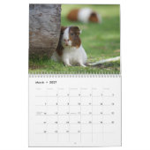 Cavia kalender 2027 (Mar 2027)