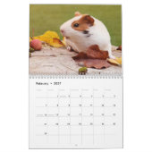 Cavia kalender 2027 (Feb 2027)