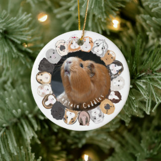 Cavia keramisch ornament
