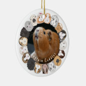 Cavia  keramisch ornament (Rechts)