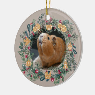 Cavia keramisch ornament
