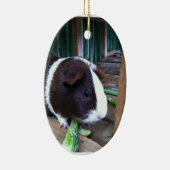 cavia keramisch ornament (Rechts)