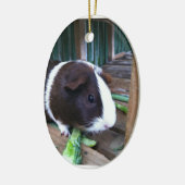 cavia keramisch ornament (Links)