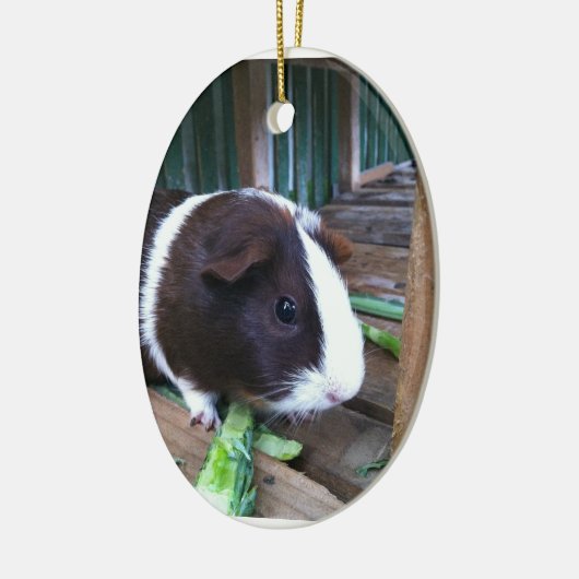 cavia keramisch ornament (Links)