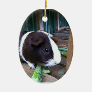 cavia keramisch ornament