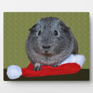 Cavia Kerstmis Fotoplaat