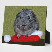 Cavia Kerstmis Fotoplaat (Zijkant)