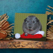 Cavia Kerstmis Fotoplaat (Zijkant)