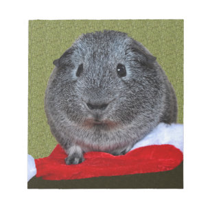 Cavia Kerstmis Notitieblok