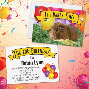 Cavia Kinderen 2e Verjaardagsfeest Ballonnen Kaart