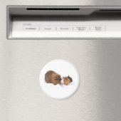 cavia magneet (Insitu (Vaatwasser))